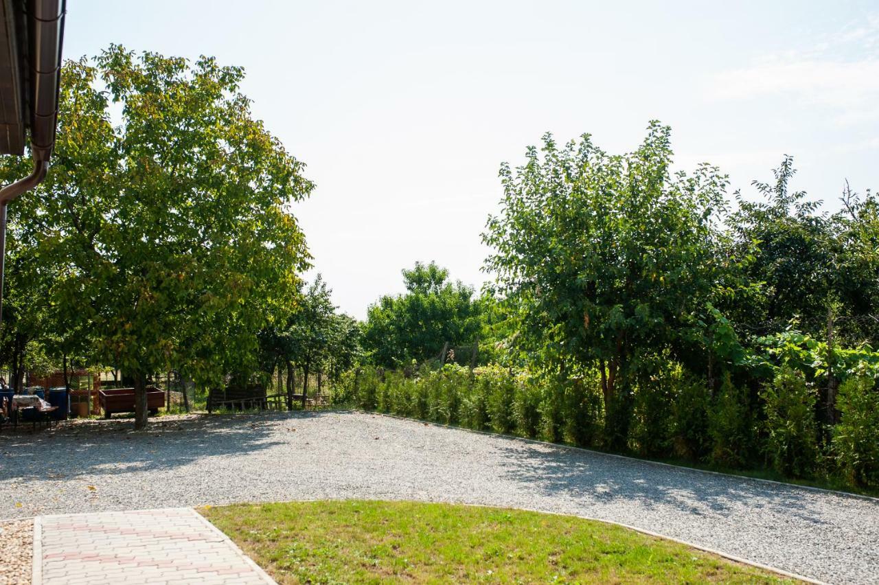 Pensiunea Vlad Arad Exterior photo